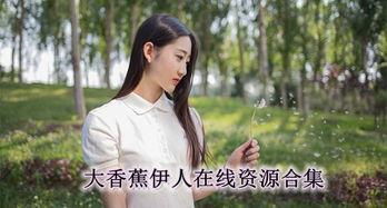 国产香蕉 伊人在线,探寻我国香蕉产业的魅力与风采
