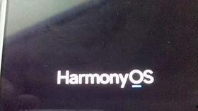 国产五月香在线,探寻传统香氛的东方韵味