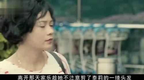 国产家政剧情在线观看,揭秘现代家庭生活背后的温馨故事