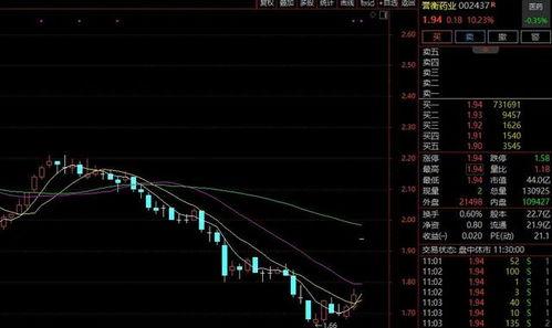 国产在线喷白浆,高效环保的涂装新篇章