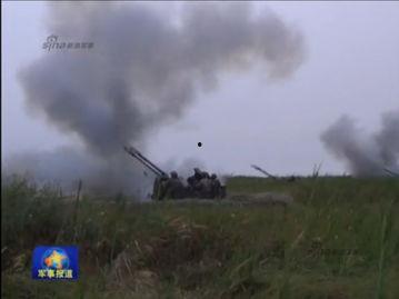 国产在线观看野战,野战风云，激情燃烧的岁月